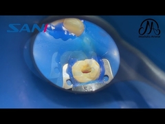 SANI Endo Motor Treatment Case