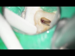 ডেন্টাল RA Burs Tungsten Carbide Burs ডেন্টাল ব্যবহার কম গতি